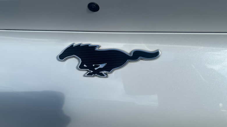 Ford Mustang Mach-E 216kW Extended Range 91kWh RWD 5dr Auto Electric Estate